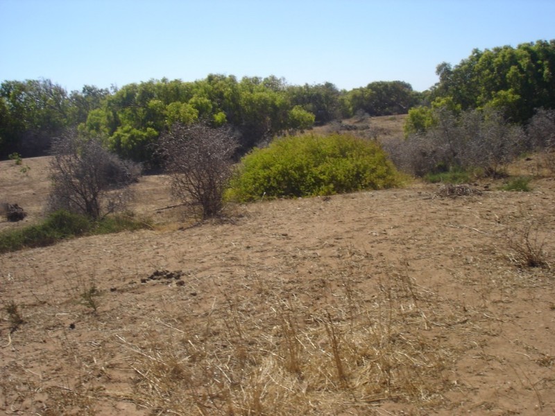 Lot 201 Company Road, Greenough WA 6532