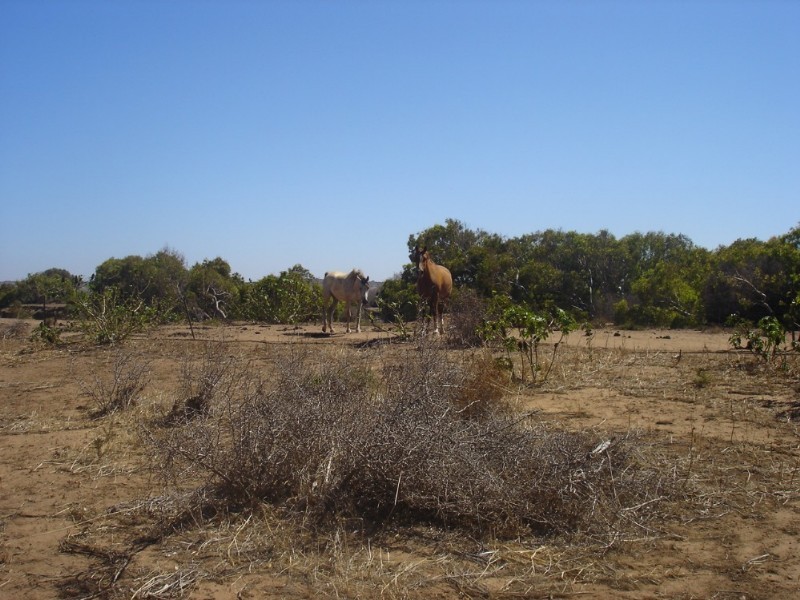 Lot 201 Company Road, Greenough WA 6532