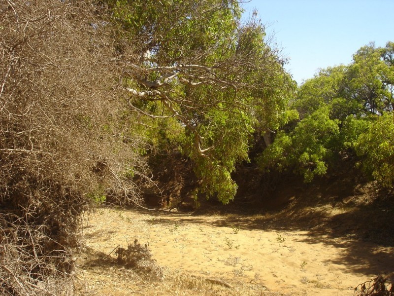 Lot 201 Company Road, Greenough WA 6532