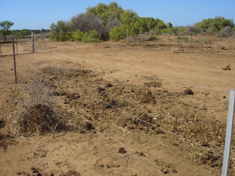 Lot 201 Company Road, Greenough WA 6532