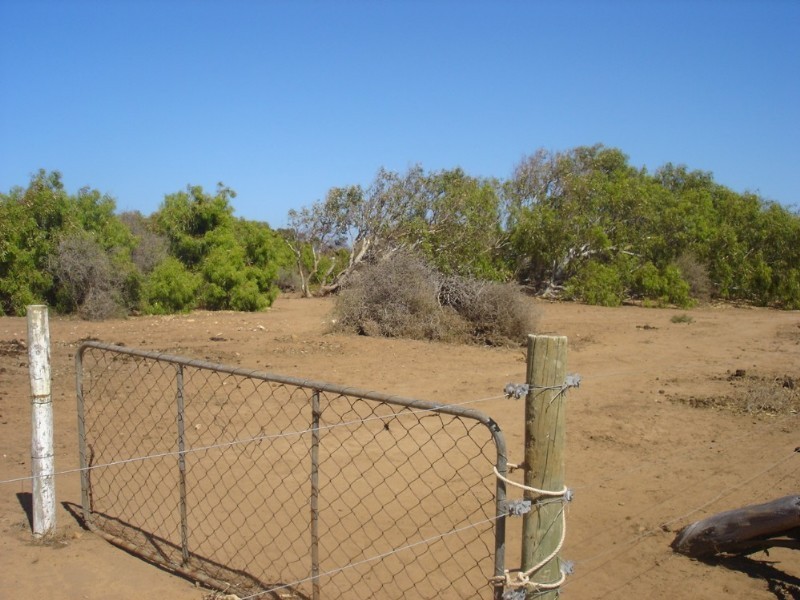 Lot 201 Company Road, Greenough WA 6532