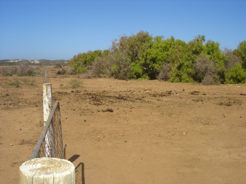 Lot 201 Company Road, Greenough WA 6532