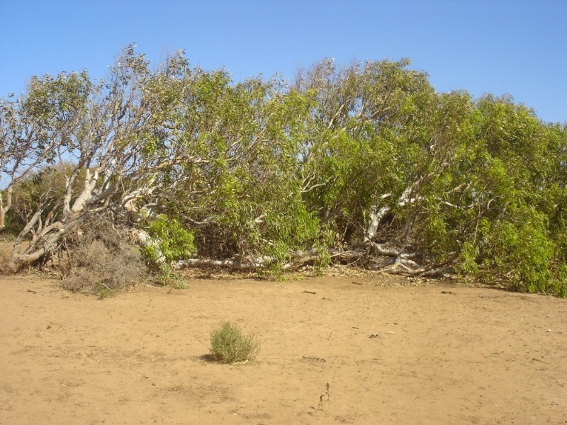 Lot 201 Company Road, Greenough WA 6532