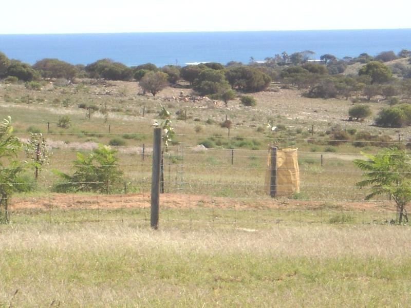 81 Eliza Shaw Drive, White Peak WA 6532