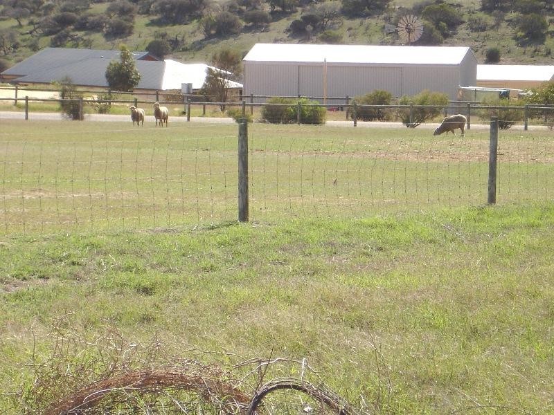 81 Eliza Shaw Drive, White Peak WA 6532