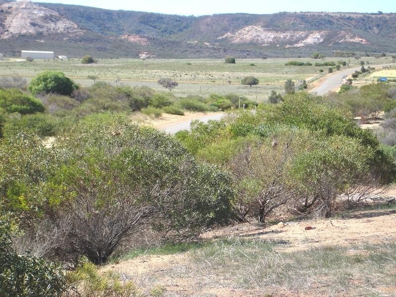 81 Eliza Shaw Drive, White Peak WA 6532