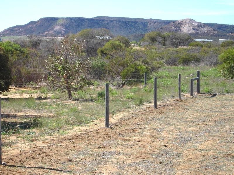 81 Eliza Shaw Drive, White Peak WA 6532