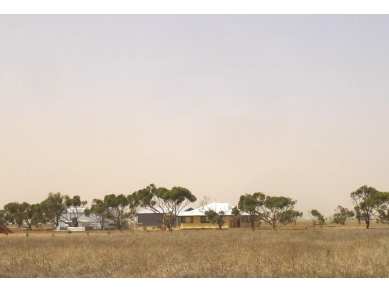 4 Roding Street, Deepdale WA 6532