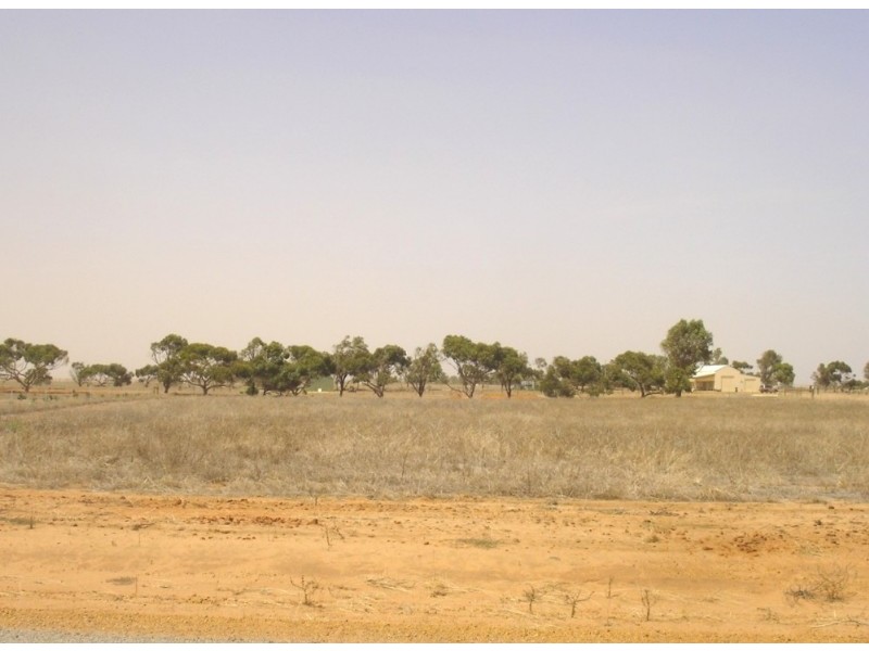 4 Roding Street, Deepdale WA 6532