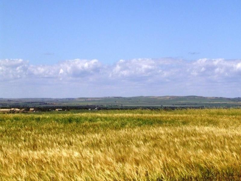 Lot 132 Meadowcroft Road, Rudds Gully WA 6532