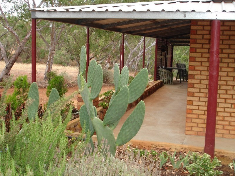 40 Rose Street, Isseka WA 6535