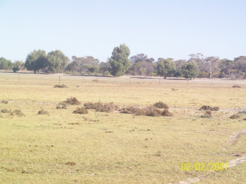 131 Drovers Lane, Walkaway WA 6528