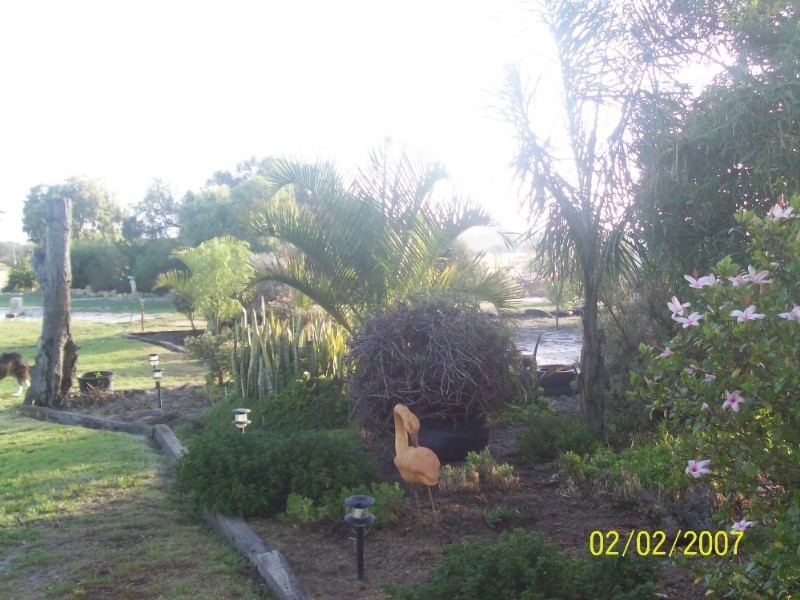 131 Drovers Lane, Walkaway WA 6528