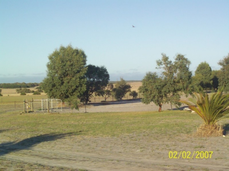 131 Drovers Lane, Walkaway WA 6528