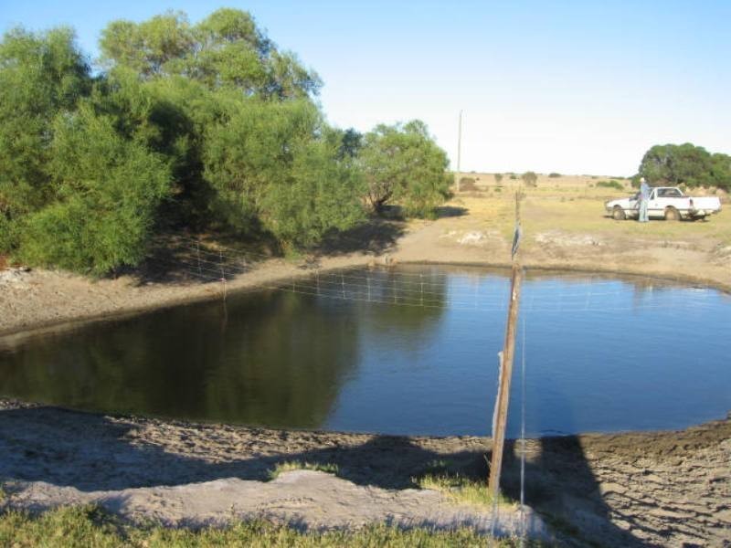 131 Drovers Lane, Walkaway WA 6528