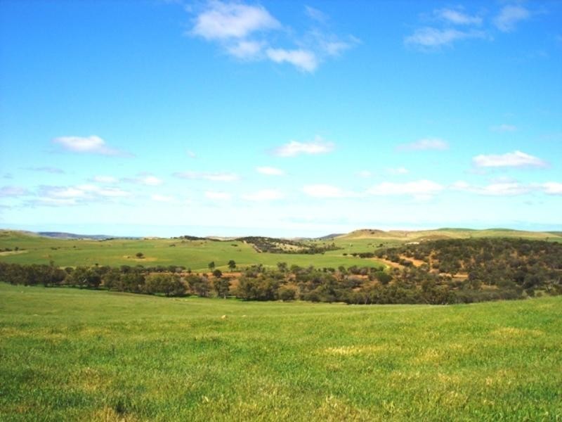 Lot 1 Ivan Gould Road, Moonyoonooka WA 6532