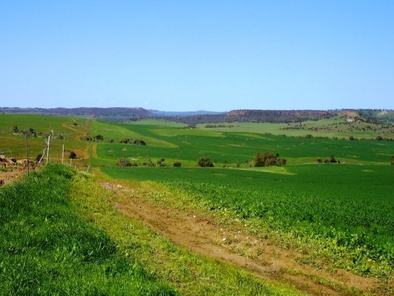 Lot 1 Ivan Gould Road, Moonyoonooka WA 6532