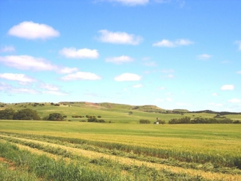 Lot 3 Ivan Gould Road, Moonyoonooka WA 6532