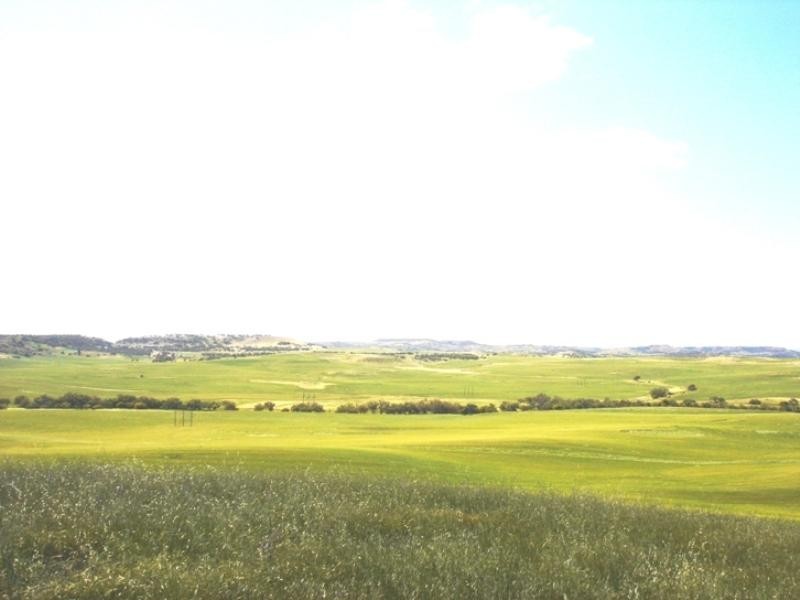 Lot 3 Ivan Gould Road, Moonyoonooka WA 6532