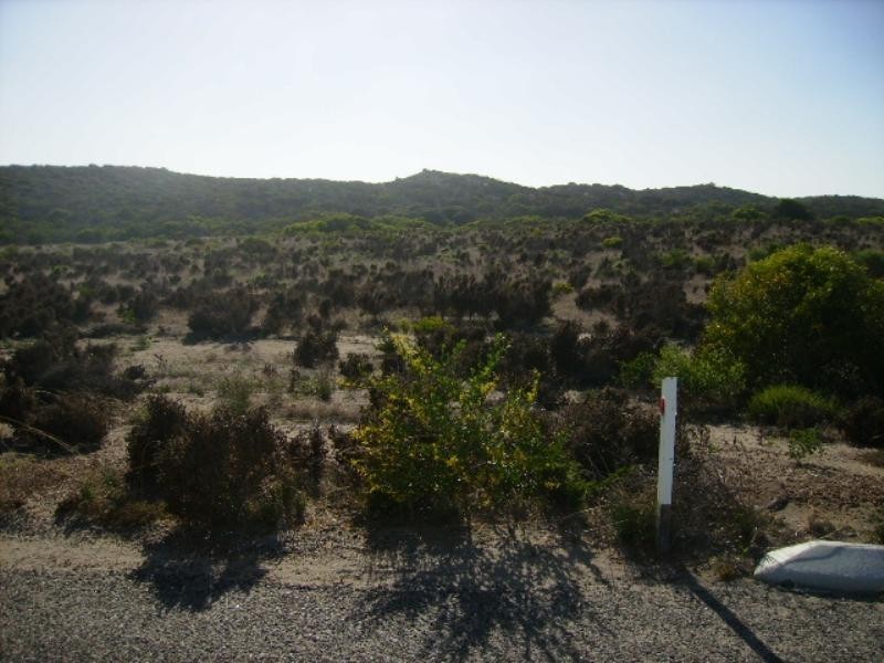 101 African Reed Boulevard, Greenough WA 6532