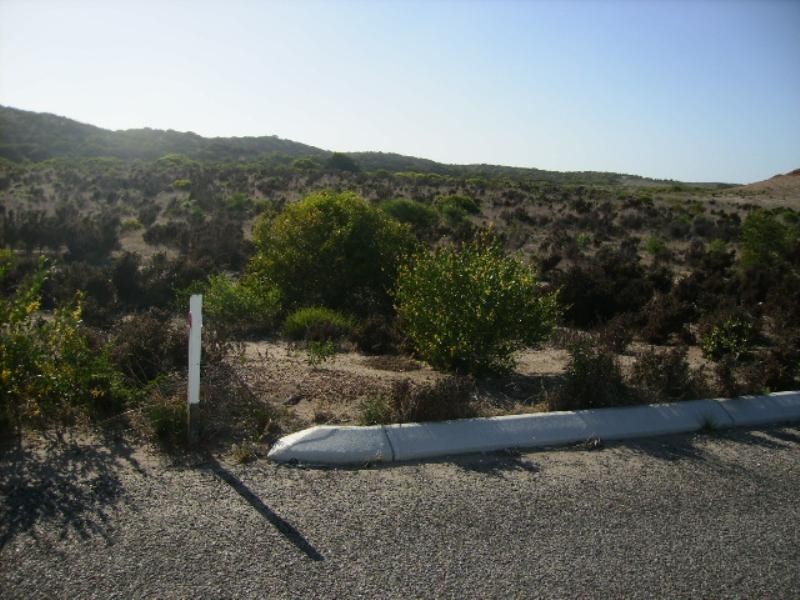 101 African Reed Boulevard, Greenough WA 6532