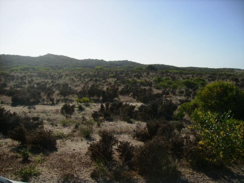 101 African Reed Boulevard, Greenough WA 6532