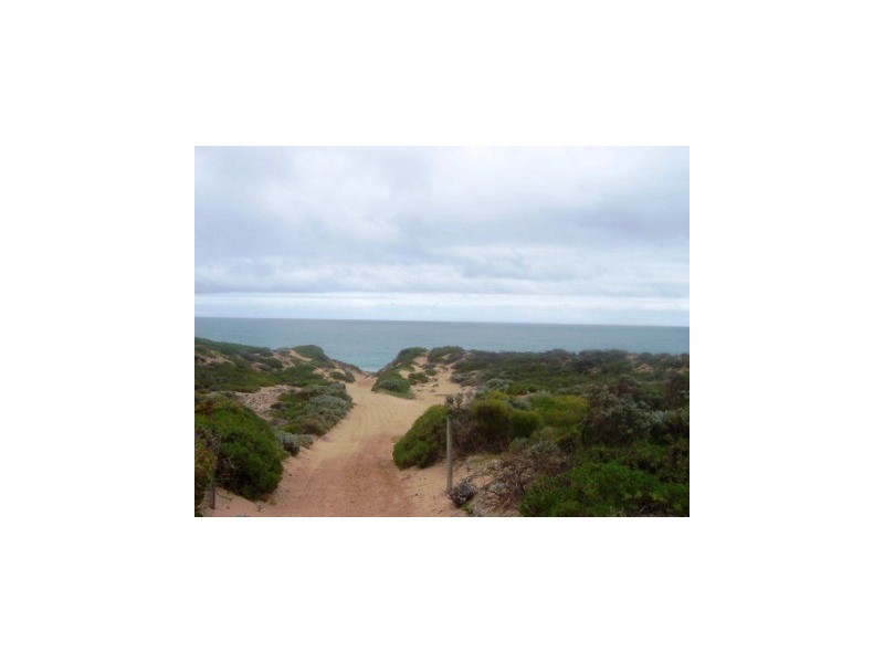 Lot 115 African Reed Boulevard, Greenough WA 6532