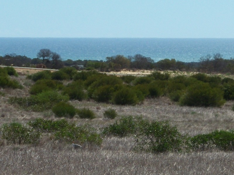 Lot 206 Redcliffe Concourse, White Peak WA 6532