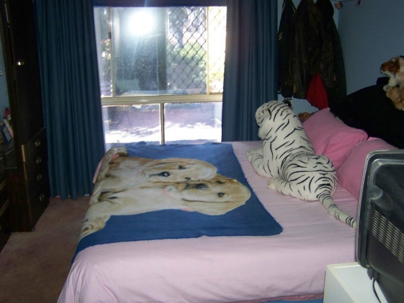 1 Logue Court, Walkaway WA 6528