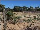Lot 49 Rudds Gully Road, Narngulu WA 6532