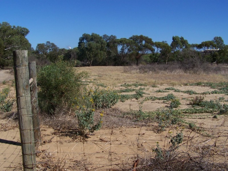 Lot 49 Rudds Gully Road, Narngulu WA 6532