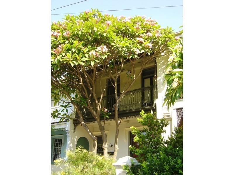 161 Wigram Road, Glebe NSW 2037