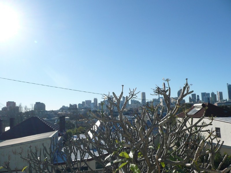 33 Avona Avenue, Glebe NSW 2037