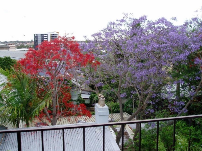 33/77 Hereford Street, Glebe NSW 2037