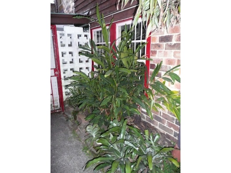 2/29 Edward Street, Chippendale NSW 2008