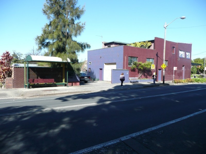 67 Waratah Street, Haberfield NSW 2045