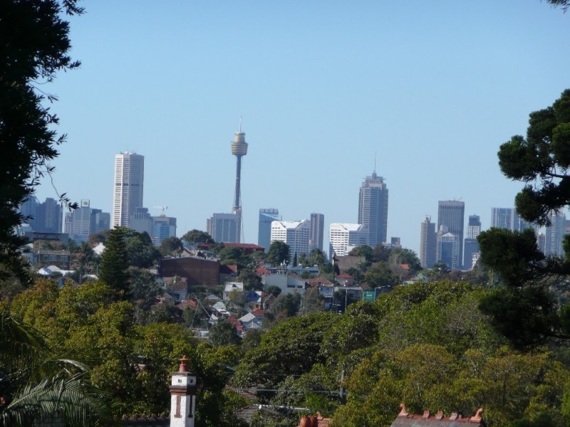 67 Waratah Street, Haberfield NSW 2045