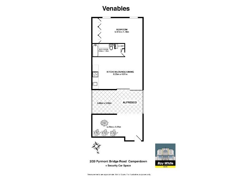 2/20 Pyrmont Bridge Road, Camperdown NSW 2050