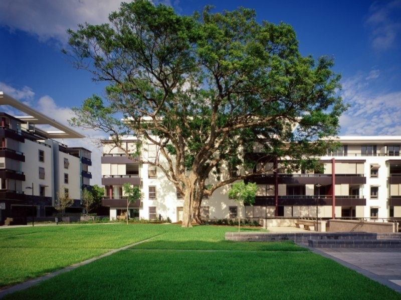 Trio Booth Street, Camperdown NSW 2050