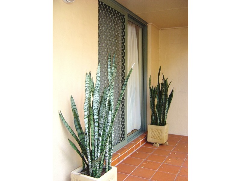 98/69 Allen Street, Leichhardt NSW 2040