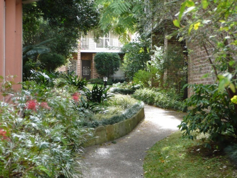 26/43 Hereford Street, Glebe NSW 2037