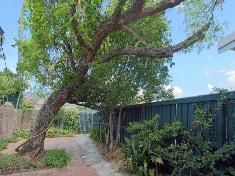 23 Arcadia Road, Glebe NSW 2037