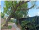 23 Arcadia Road, Glebe NSW 2037