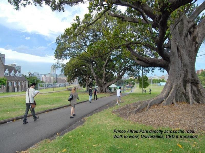 33/187 Cleveland Street, Redfern NSW 2016