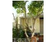 2 Avon, Glebe NSW 2037