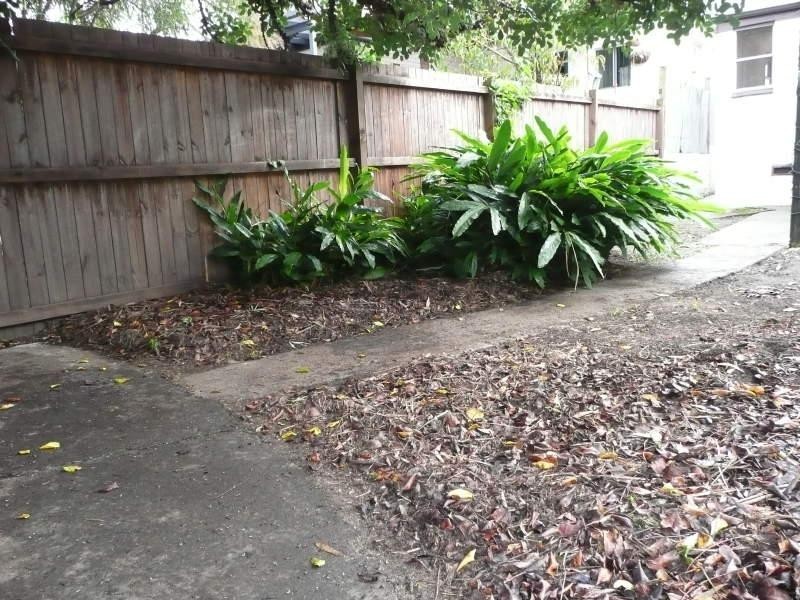 150 Darley Street,, Newtown NSW 2042