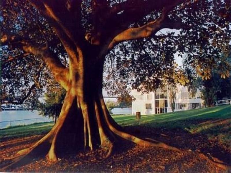 12/150 Wigram Road, Glebe NSW 2037