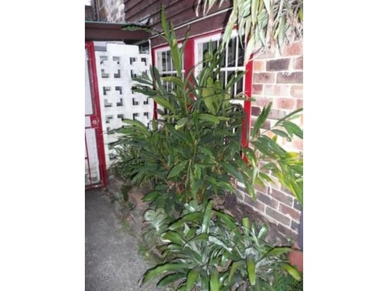 2/29 EDWARD Street, Chippendale NSW 2008