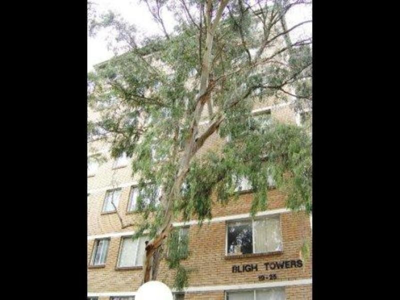 65/19 Queen Street, Newtown NSW 2042