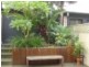72 Lamb Street, Lilyfield NSW 2040
